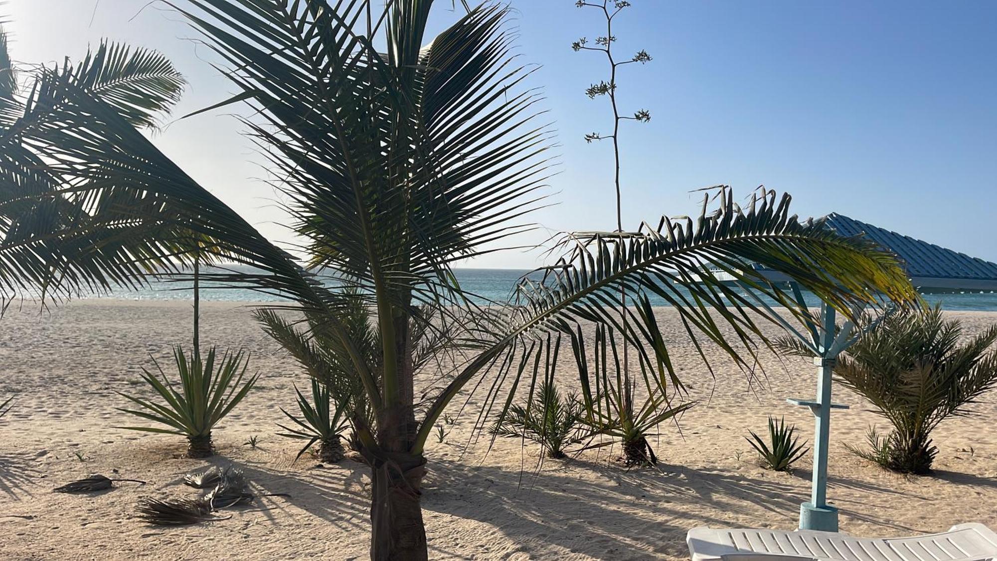 Luxury Beach Villa, Praia De Chaves, Boa Vista Sal Rei Luaran gambar